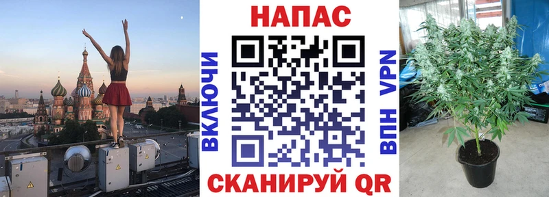 Шишки марихуана MAZAR  Касли 